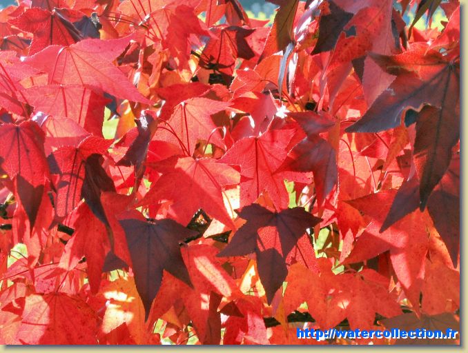 Diapositive suivante